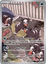 Pokemon Single - Houndour 204/197